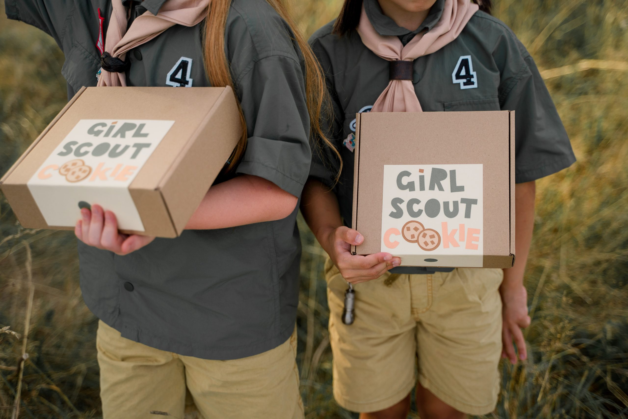 Read more about the article Lessons From The Cookie Girl Scout System: An Entrepreneurial Framework For South African School Curriculum