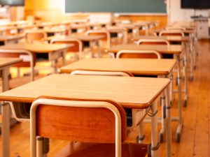 Read more about the article The Imperative Role and Crippling Constraints of School Governing Bodies in Township Schools